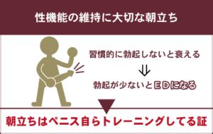 あさだちしない|EDと朝勃ちの関係について解説します！改善方法や。